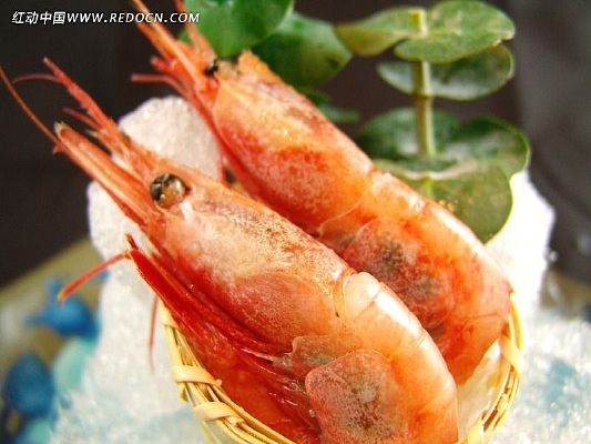 ��ʽ����