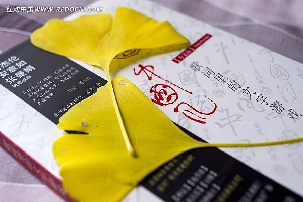 ��ɫ����Ҷ