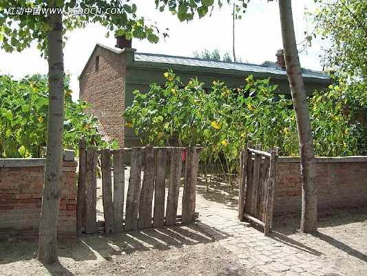 ���տ�������