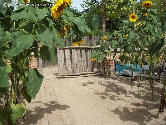 ũ������Ӱ