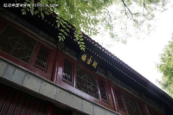 ��¥����