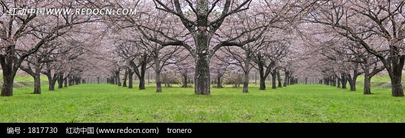 ���е�ӣ����ͼƬ