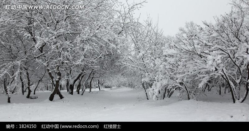 ��ڡ���ҷ羰ͼƬ