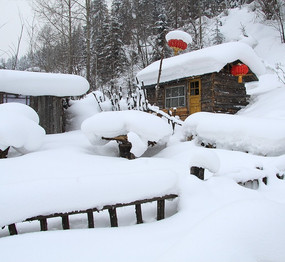 ��巿��ѩ��