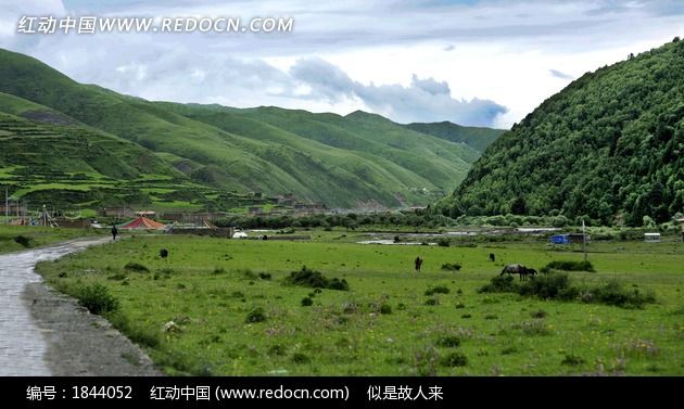 �����ݲ�ԭ���ͼƬ