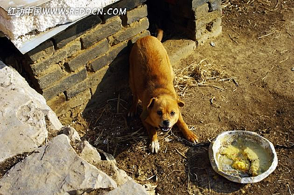 С�ƹ�����