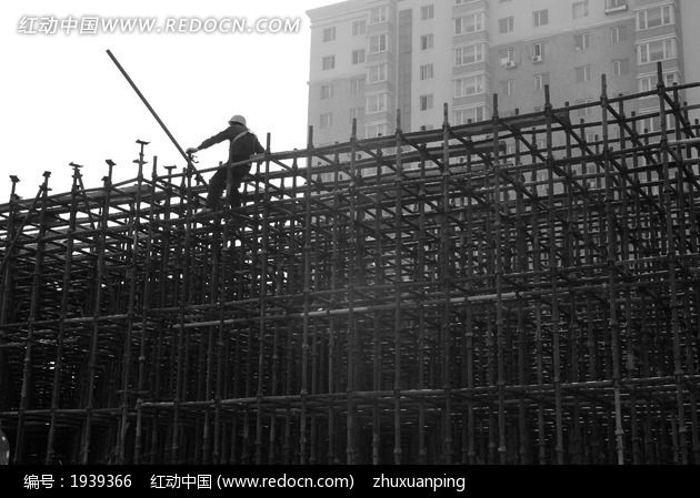 �߼��Ž���ͼƬ