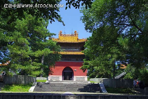 �����Ž���