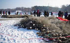 ѩ���ϵ�����