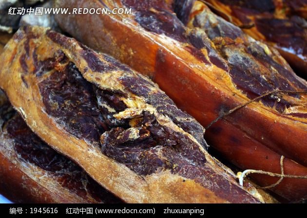 Ѭ�Ƶ�����ͼƬ