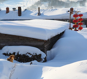 ��ѩ�����ķ���