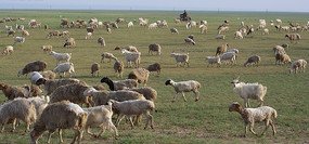 �����ԭ���