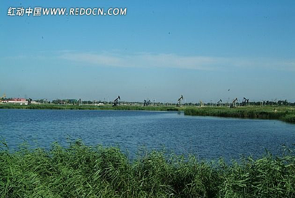 �ͳǷ���������