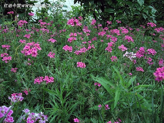 ���صĴ���