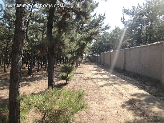 �����µ�����