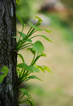 ��������д