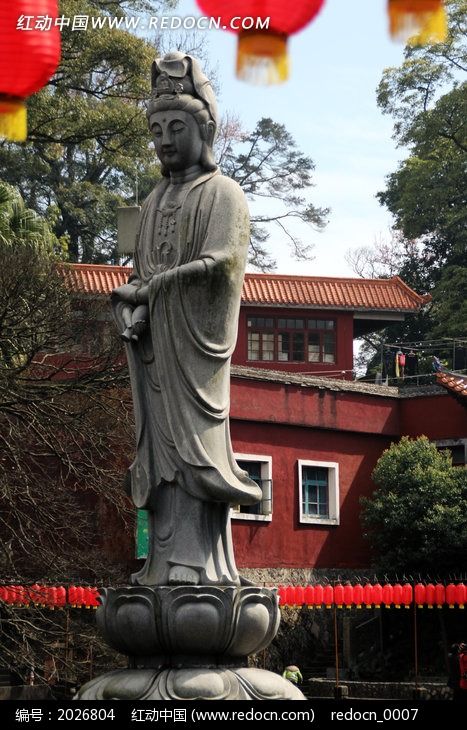 ������Ĺ�������ͼƬ