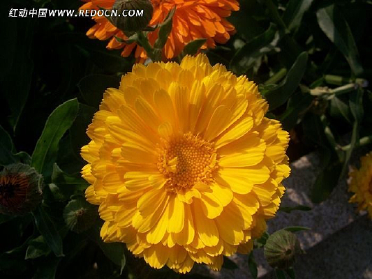 �����ƻ�