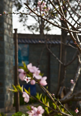 �翪���һ�