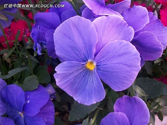 ʢ�����ϻ�