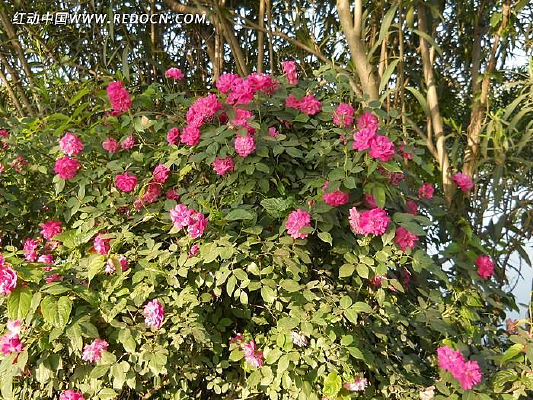 ˮ�ߵ��¼���