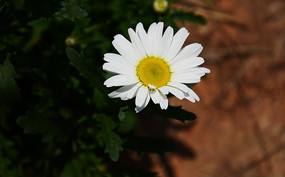 Ұ�ջ�������д