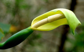 ��ˮ��������