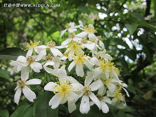 ���ꡡ�ʻ�