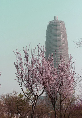 ����ӳ��Ȥ