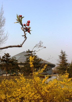 ӭ���һ���