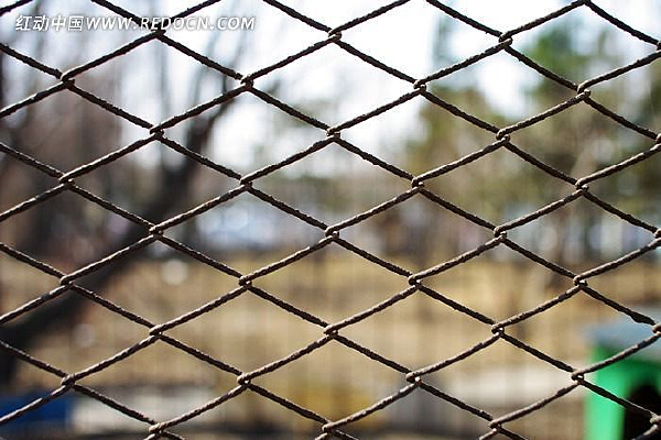 ��˿������