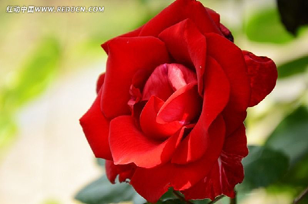 �¼���õ��