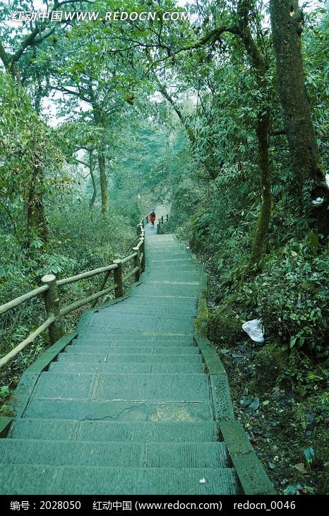 ���ּ䳤���Ľ���ͼƬ