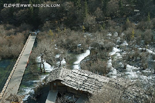 ���ݸ���