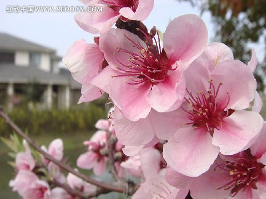 ����Ũ�һ�