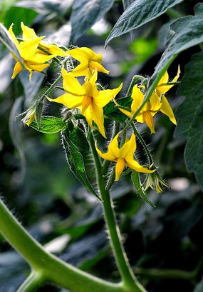 �����������ѻ�