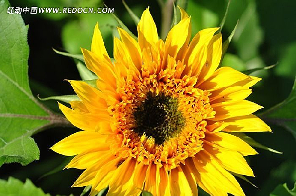 �����µĻ���