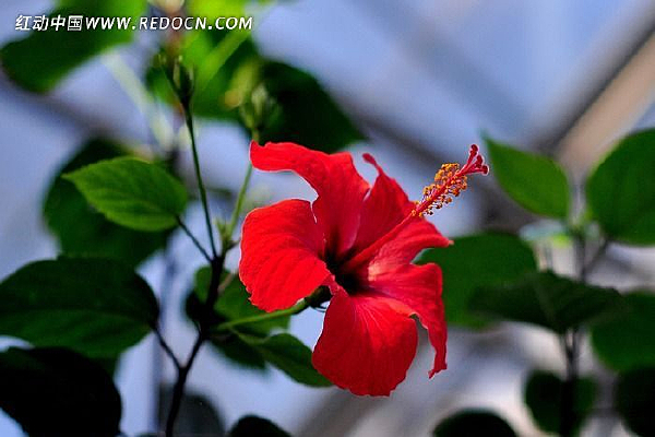 �컨��ɣ��