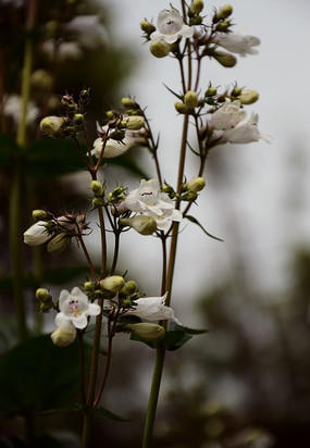 �����ؾ�