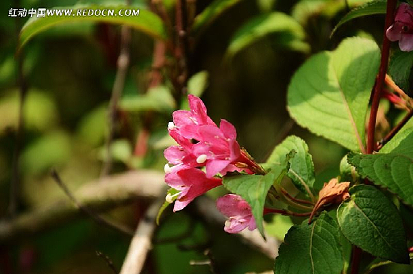 �����һ�