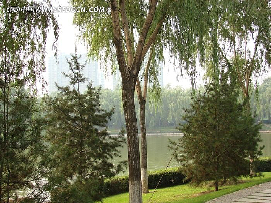 ���ϴ���