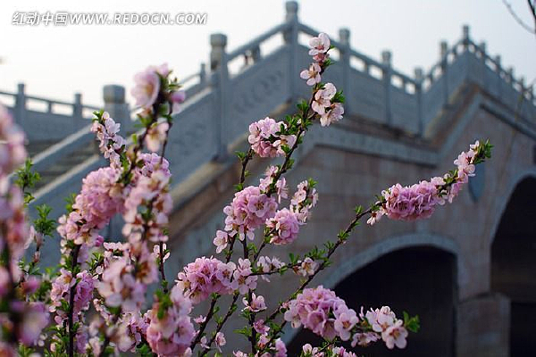 ����ӣ��