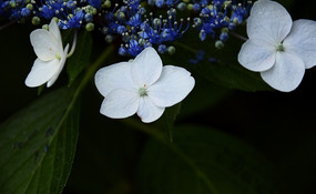 �ؾ�����