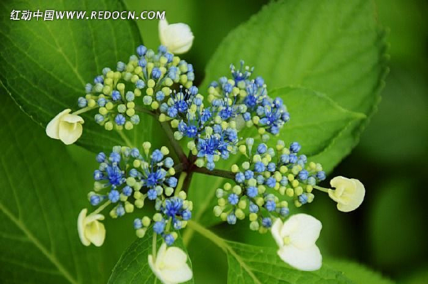 ������仨��