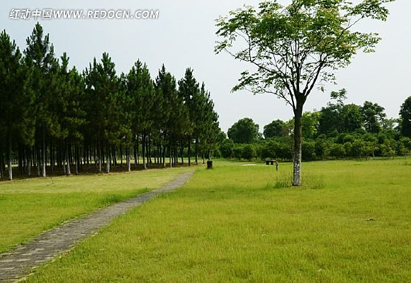 һ���޼��̲ݵ�