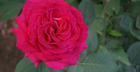 �ۺ��¼�����