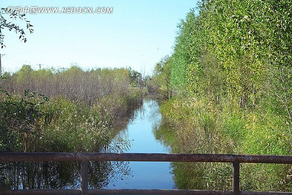 ��ֱ�ĺ���