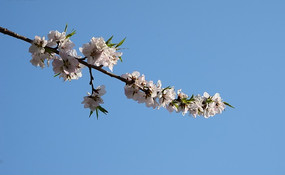 �ÿ���ɫ����