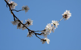 ��ɫ�һ���