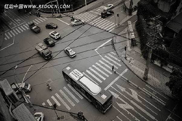 ��æʮ��·��